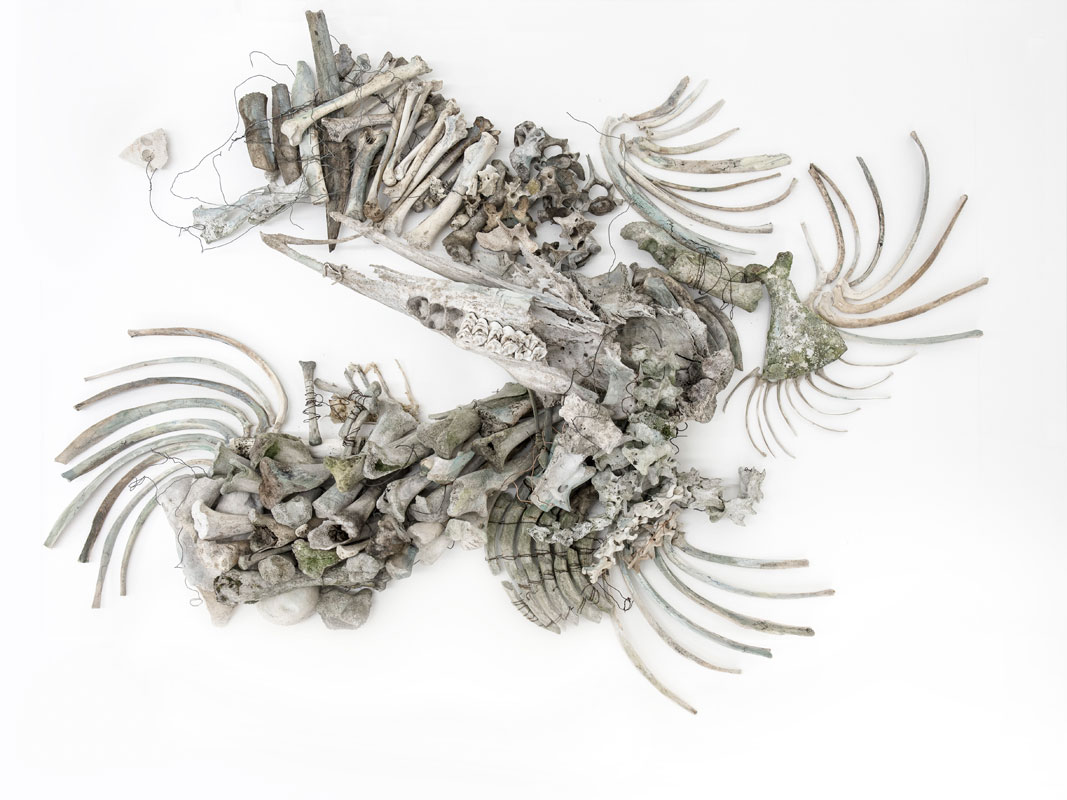 Petra Lehnardt-Olm · »Arche Noah« · Installation aus Tierknochen · 75 × 110 × 18 cm · 2021